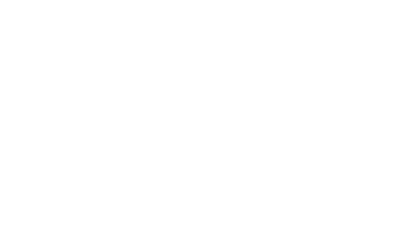 Ace Studios